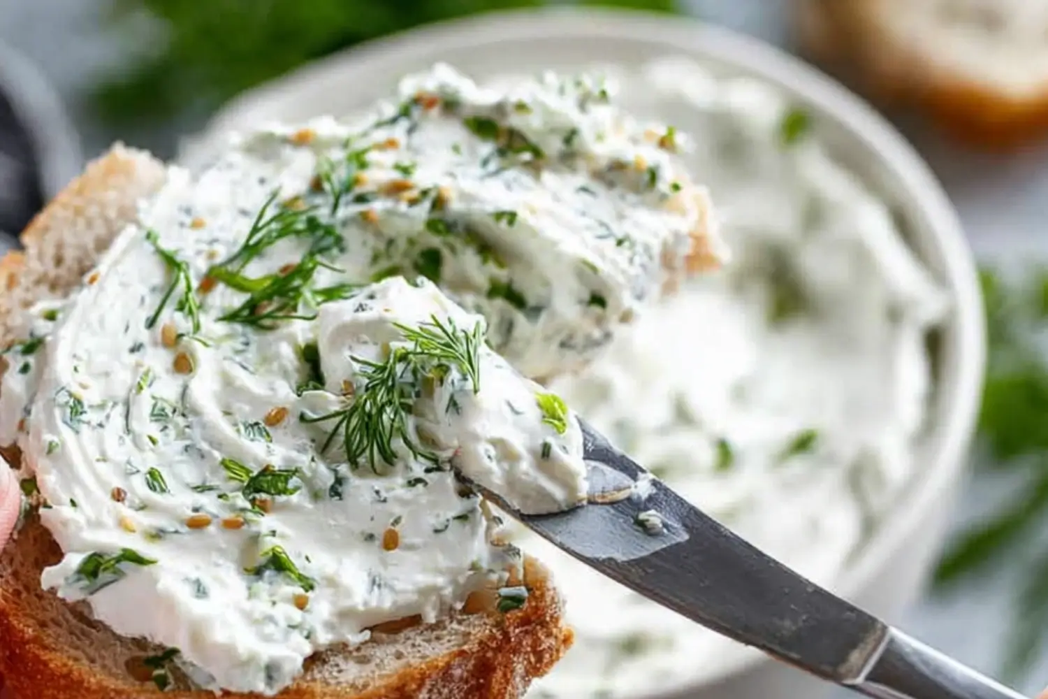 Slice of bread spread with creamy herb cheese topped with fresh dill and parsley.